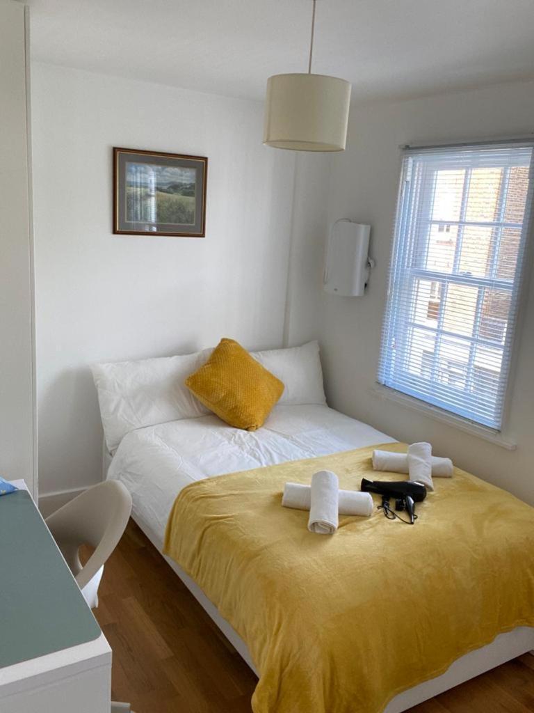 Lovely Private In Euston, Homestay London
